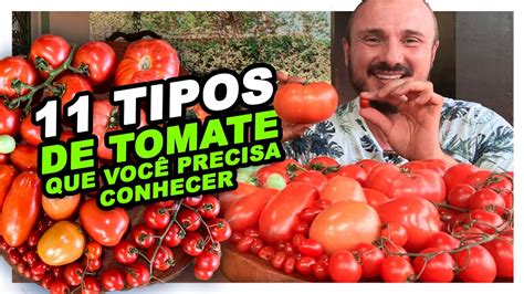 Tipos De Tomate Que Voc Precisa Conhecer Youtube