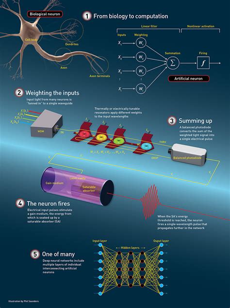 A Photonic Neuron Optics Photonics News