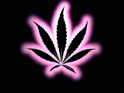 Neon Weed Wallpapers Top Free Neon Weed Backgrounds Wallpaperaccess