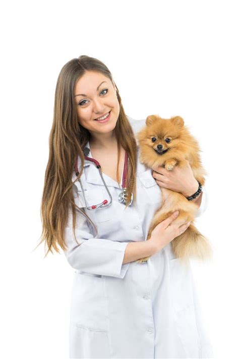 Vet doctor stock photo. Image of friendship, care, healthy - 52785898