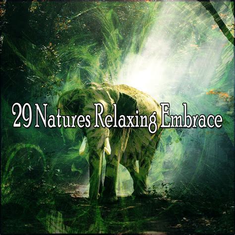 29 Natures Relaxing Embrace Album By Rest And Relax Nature Sounds