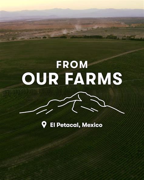 From Our Farms Certified Organic Nutrilite El Petacal Farm