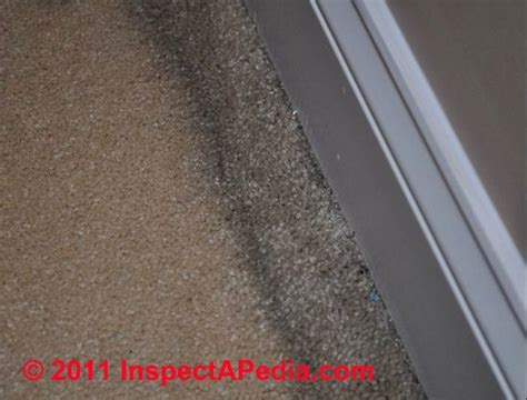 How To Get Rid Of Black Mold Carpet