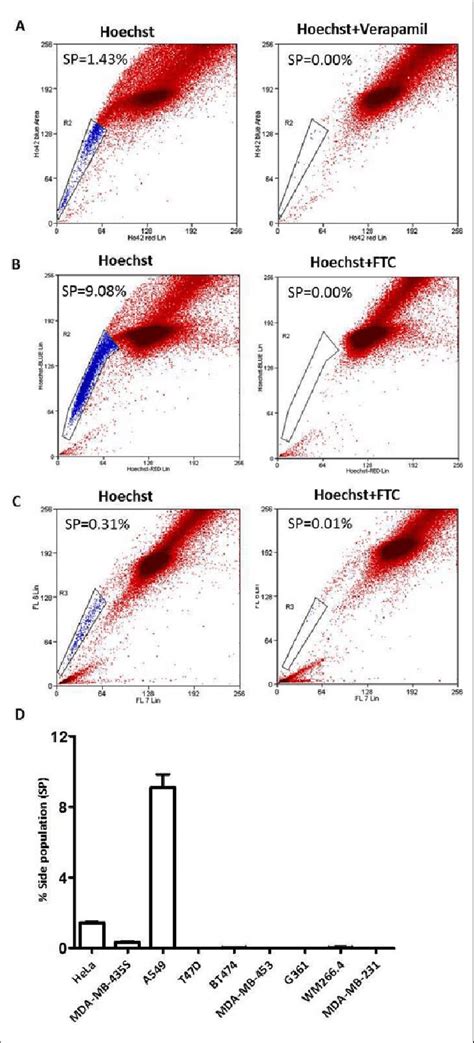 Establishment Of Side Population Sp Assay In Epithelial Cancer Cell