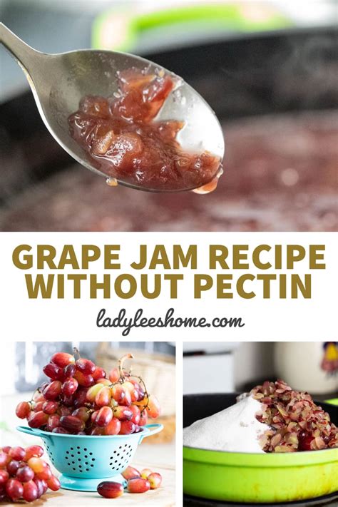 Grape Jam Recipe Without Pectin Lady Lees Home