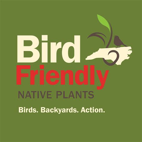 Become a Bird-Friendly Gardener | National Audubon Society