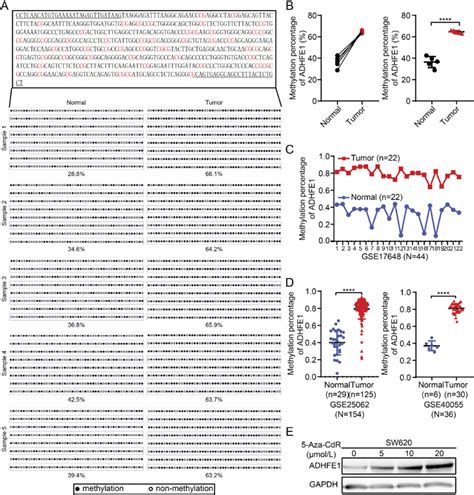 Adhfe1 Is Hypermethylated In Crc A And B The Degree Of Cpg Island