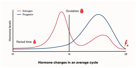 How Does Birth Control Work Types Of Birth Control Side Effects