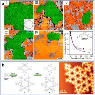 Pdf Steering On Surface Reactions By Kinetic And Thermodynamic Strategies