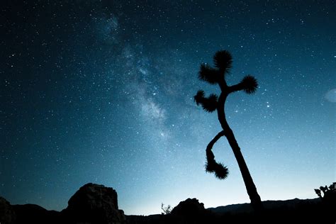 Joshua Tree Milky Way National Park California - Etsy