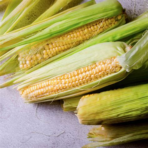 How To Tell If Corn On The Cob Is Bad A Comprehensive Guide