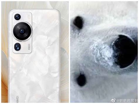 Netizens having fun with Huawei P60 camera - Huawei Central