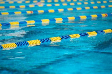 77th Senior National Aquatic Championships Ke Sabhi Winners