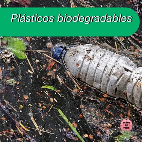 PLÁSTICOS BIODEGRADABLES qué son tipos ejemplos y más