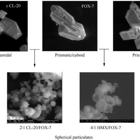 Morphological Changes Observed During Co Crystallization Of Proposed