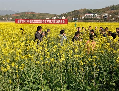 醴陵市再添一家“全国农民专业合作社示范社”