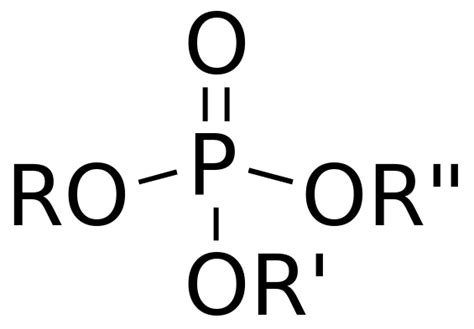 Difference Between Organic and Inorganic Phosphate | Compare the ...