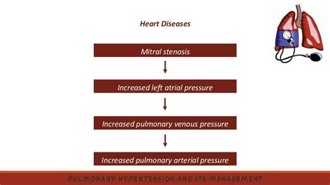 Pulmonary Hypertension And Its Management