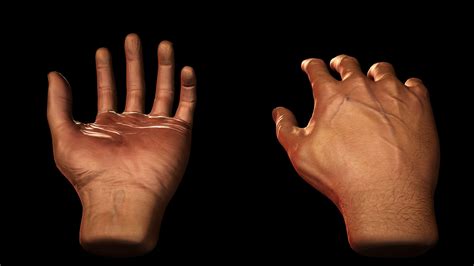 Realistic Hand 3d Models Download Free3d