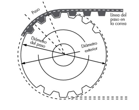 Qu Es Una Correa Y C Mo Se Clasifican Lugohermanos