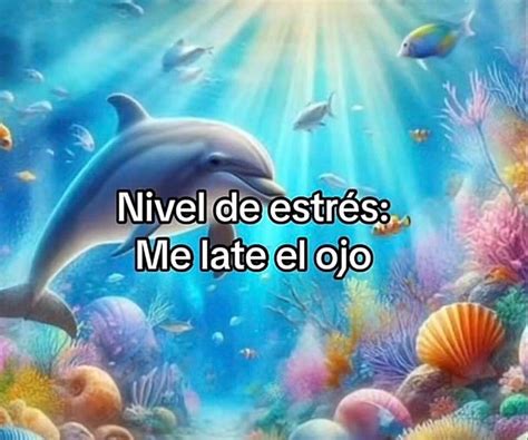 Trend ‘symphony Así Puedes Hacer Los Memes De Delfines Que Inundan