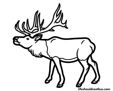 Elk Coloring Pages Free Printable PDF Templates Life Should Cost Less