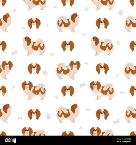 Japanese Chin Seamless Pattern Different Poses Coat Colors Set