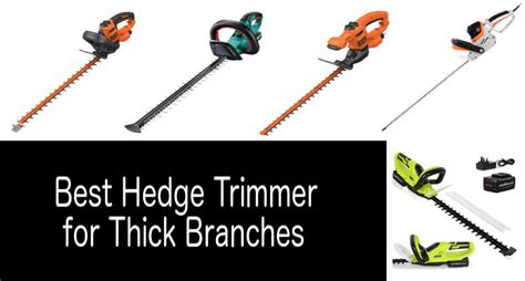 The Best Hedge Trimmers For Bbc Gardeners World Magazine Atelier