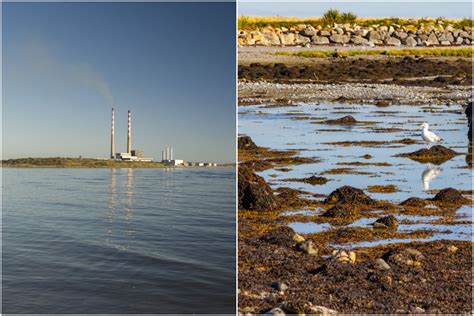 Water at five Irish beaches classified as ‘poor’ but overall quality is improving says yearly ...