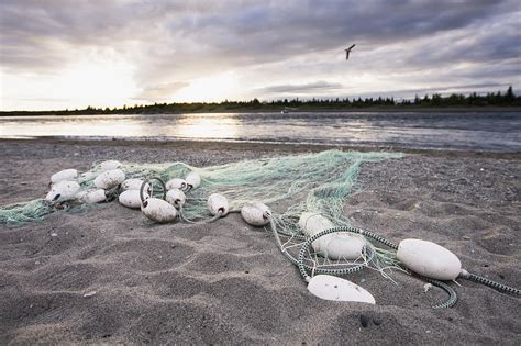 A Gill Net Used For Sockeye Salmon Photograph by Scott Dickerson | Fine ...