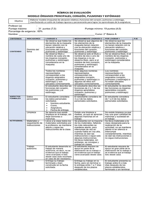 Rúbrica De Evaluación Maqueta Órganos Principales Pdf Aprendizaje Cognición