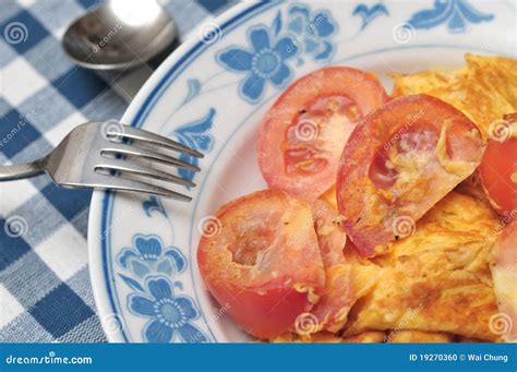 Tomato fried egg stock photo. Image of fork, plate, tasty - 19270360