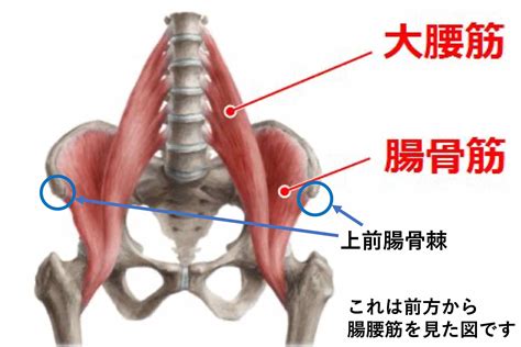 『ギックリ腰 特に大腰筋への施術について』 高宮駅徒歩8分／鍼灸と合気道のいぶき館 美容鍼 福岡県 福岡市