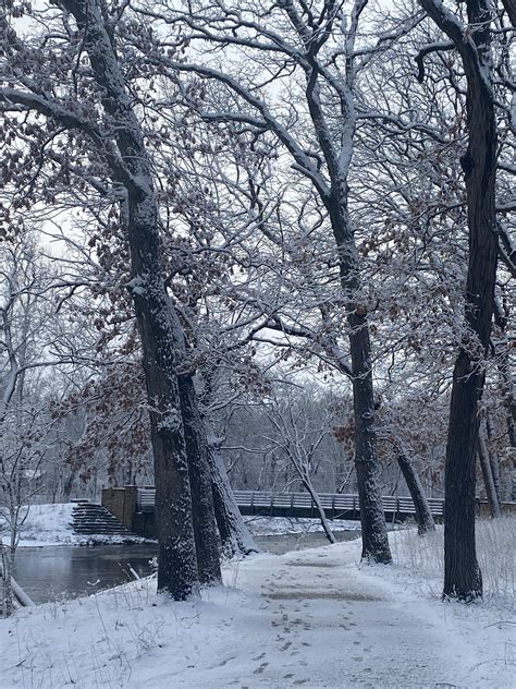 Fullersburg Woods Nature Education Center | Oak Brook IL