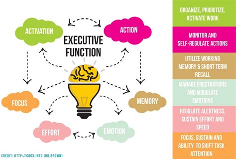 Executive Brain Function