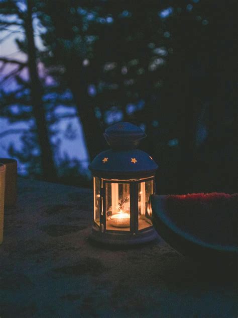 forest camping background      forest camping