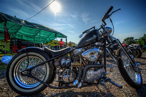 Gorgeous Pan Head - Totally Rad Choppers