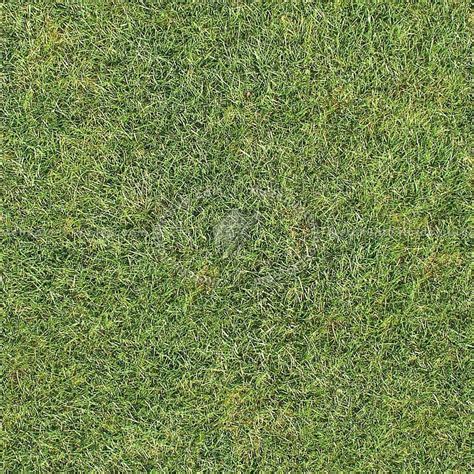 Green Grass Texture Seamless 12989