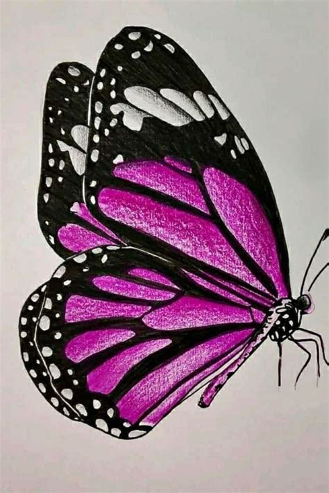 Pin by Kátia Aparecida Corrêa on Aquarela Butterfly art drawing