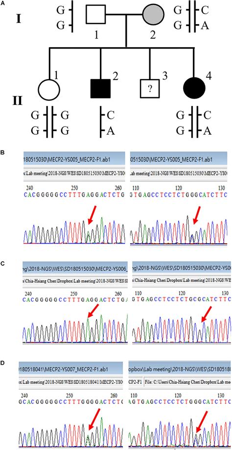 Frontiers Detection Of Rare Methyl CpG Binding Protein 2 Gene