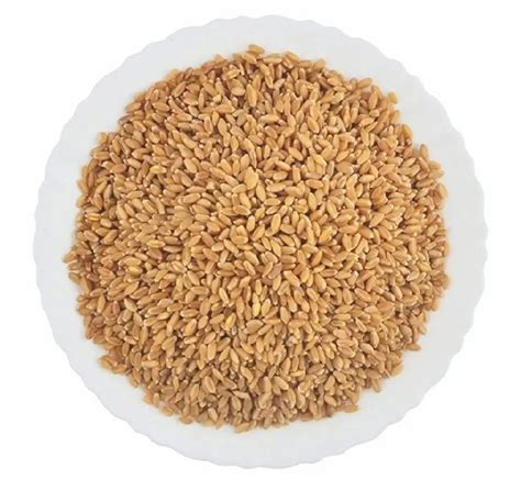 Golden Wheat Grain At Rs 24 Kg Wheat Grains In Thoothukudi ID