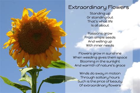 Extraordinary Flowers - Inspirational Poems