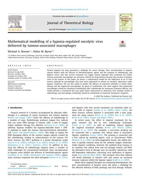 Pdf Mathematical Modelling Of A Hypoxia Regulated Oncolytic Virus