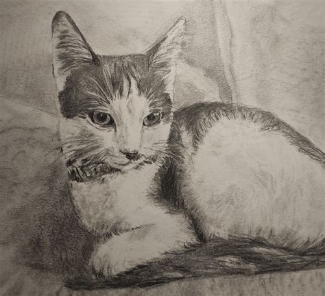 A4 Animal Portraits black-white, Pencil - Etsy