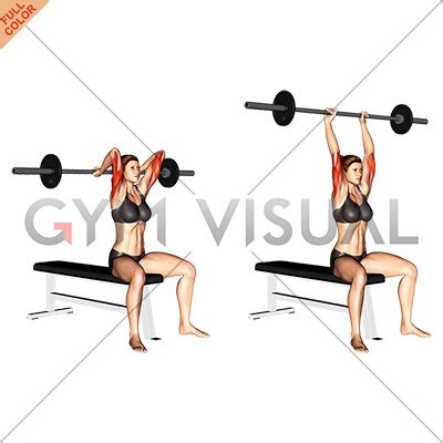 Barbell Seated Overhead Triceps Extension (female)