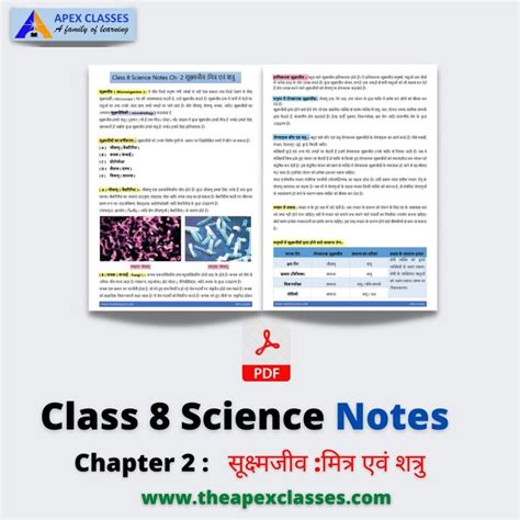 Class 8 Science MCQs PDF In Hindi APEX CLASSES