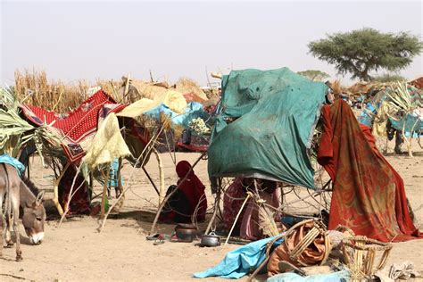 Sudan Emergency | Sudan Refugee Crisis | UK for UNHCR