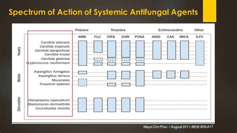 Current Status of Diagnosis & Management of Invasive Fungal Infection