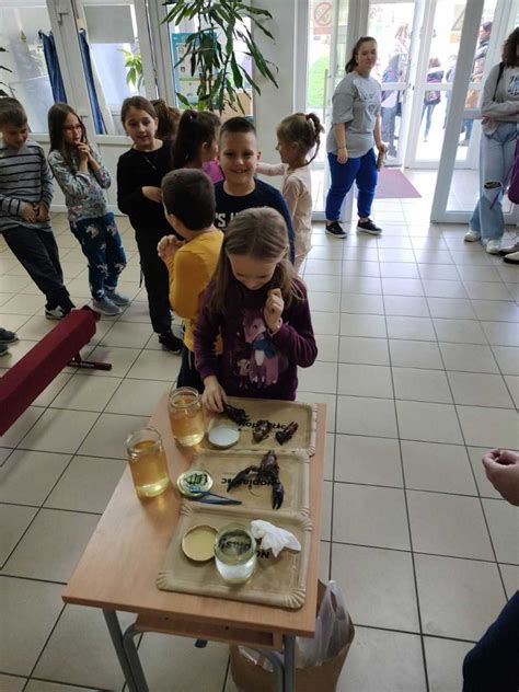 naturaviva hr Edukacija o signalnim se nastavlja u OŠ Vojnić