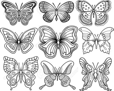 Outline Sketch Of A Butterfly At Explore Collection Of Outline Sketch Of A